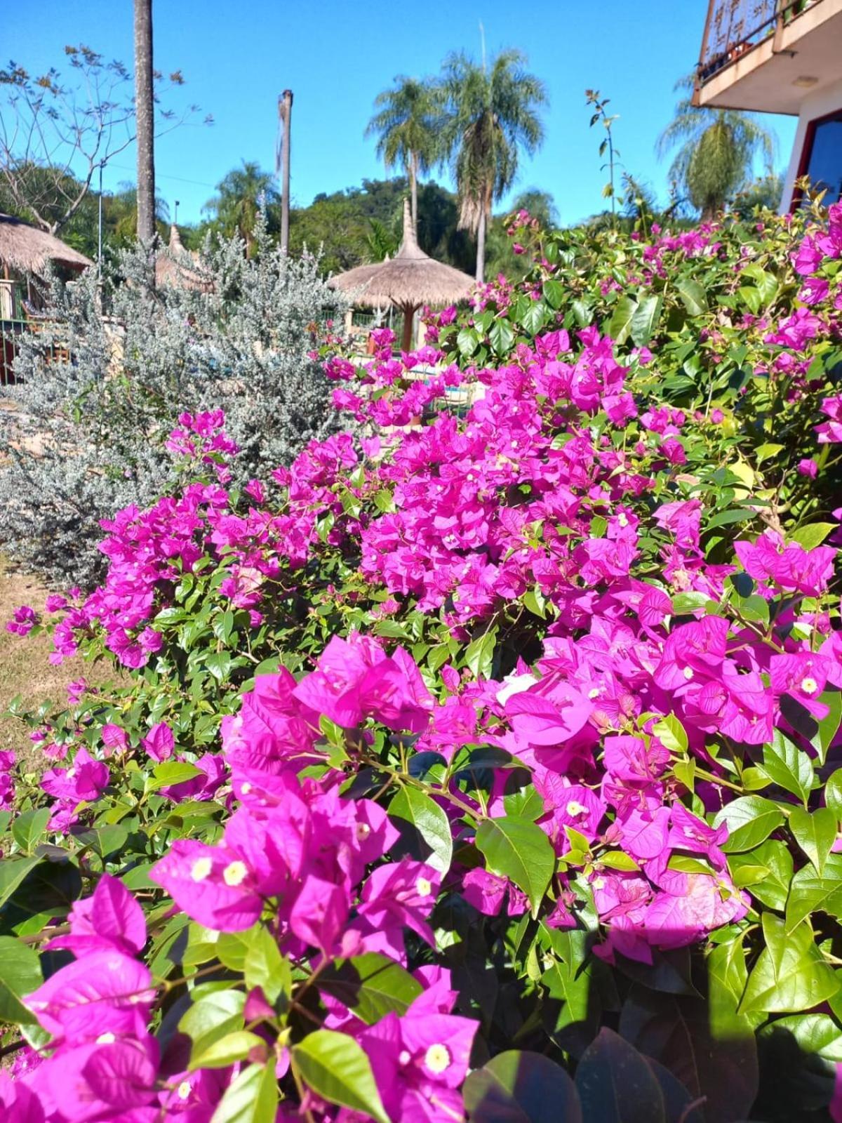 Resort Sport Independencia Extérieur photo